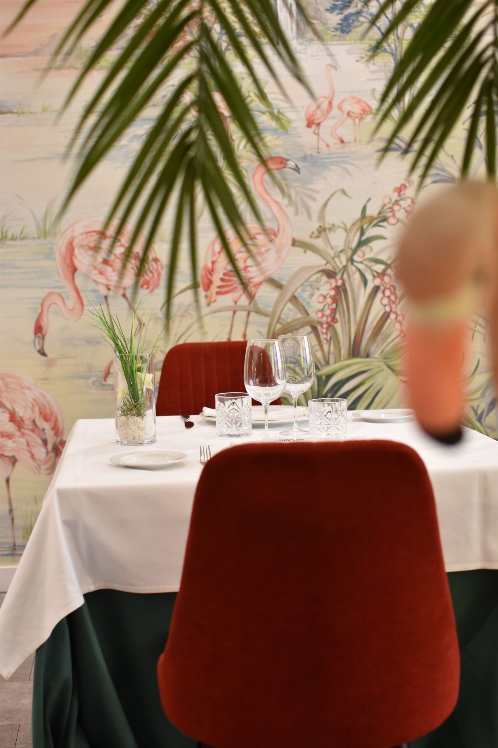 imagen-para-formulario-contacto